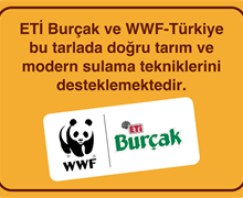 İklime Uyum Seferberliği Projesi