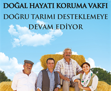İklime Uyum Seferberliği Projesi
