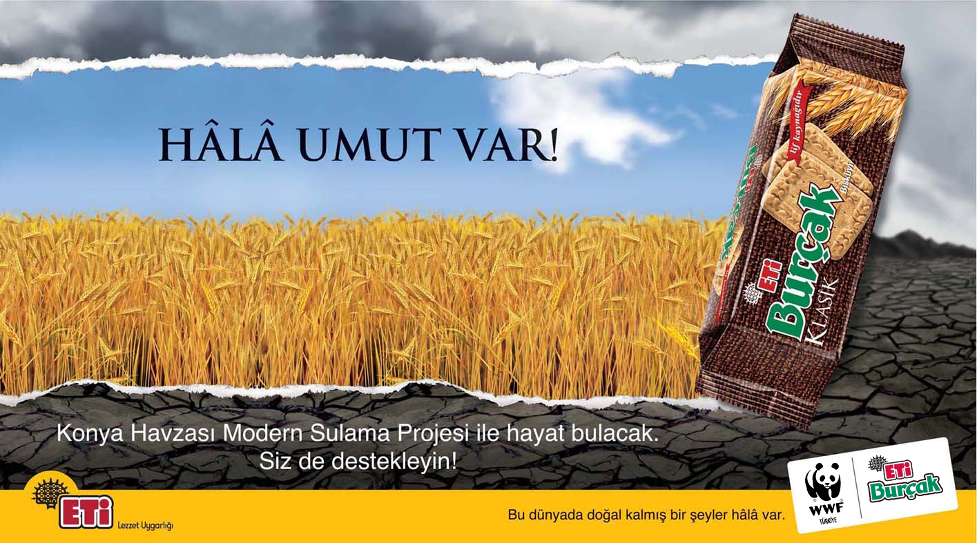 Konya Sulama Havzası