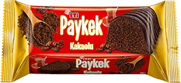  Paykek