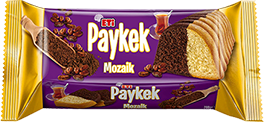 Paykek Mozaik